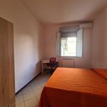 Rent 4 bedroom house of 100 m² in Catanzaro