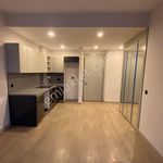 Rent 3 bedroom house of 150 m² in İstanbul