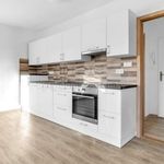 Rent 1 bedroom apartment in Brno venkov