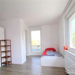 Miete 1 Schlafzimmer wohnung von 49 m² in Dresden