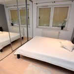 Wynajmij 3 sypialnię apartament z 52 m² w Toruń