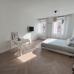 Rent 1 bedroom apartment of 31 m² in Strasbourg