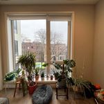 Rent 1 bedroom apartment of 646 m² in Chicago