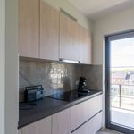 Rent 2 bedroom apartment of 76 m² in Tienen
