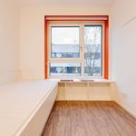 Rent a room of 11 m² in berlin