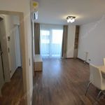 Rent 2 bedroom apartment of 48 m² in Budapest
