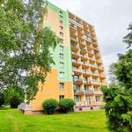 Rent 2 bedroom apartment of 45 m² in Bilina