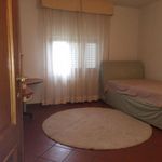 Rent 3 bedroom house of 140 m² in Capannori