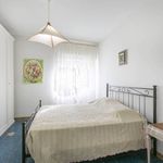Rent 5 bedroom apartment of 150 m² in Anzio