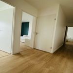 Rent 1 bedroom apartment in Cergy