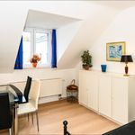 Rent 1 bedroom apartment in Bonn