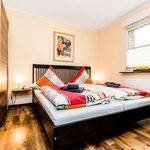 Miete 1 Schlafzimmer wohnung von 55 m² in Köln