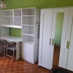 Rent a room of 130 m² in Padua