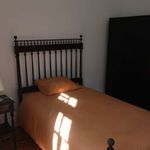 Alugar 4 quarto apartamento de 200 m² em Coimbra