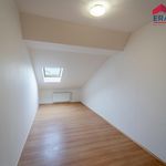 Rent 2 bedroom apartment of 47 m² in Olomouc