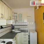 Rent 1 bedroom apartment of 37 m² in Sokolov
