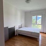 Alquilo 3 dormitorio apartamento de 83 m² en Donostia