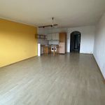 Rent 1 bedroom apartment of 43 m² in Leonding