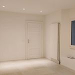 Rent 1 bedroom apartment of 25 m² in Lugano