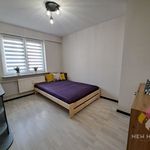 Rent 3 bedroom apartment of 65 m² in Olsztyn
