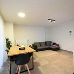 Rent 2 bedroom apartment in Buggenhout