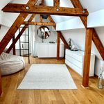 Rent 1 bedroom apartment of 50 m² in Köln