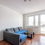 Rent 3 bedroom apartment of 63 m² in Nowy Tomyśl