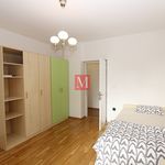 Rent 3 bedroom apartment of 150 m² in Zagreb