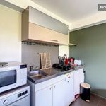 Rent 1 bedroom apartment of 25 m² in Tassin-la-Demi-Lune