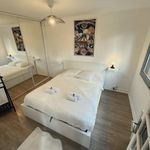 Rent 1 bedroom apartment of 41 m² in Thiais