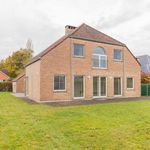 Rent 5 bedroom house of 1000 m² in Kortenberg