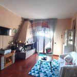 Rent 2 bedroom house of 70 m² in Ladispoli