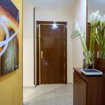 Alquilar 6 dormitorio apartamento en Alcalá de Henares