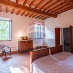 Rent 15 bedroom house of 601 m² in Pegognaga