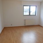 Rent 2 bedroom apartment in Kortenberg