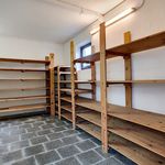 Huur 4 slaapkamer huis van 240 m² in Sterrebeek