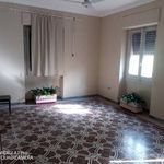 Rent 5 bedroom apartment of 130 m² in Lanciano