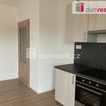 Rent 2 bedroom apartment of 45 m² in Zbůch