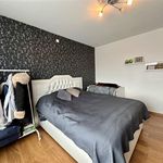 Huur 1 slaapkamer appartement van 60 m² in Borsbeek