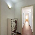 Alquilar 3 dormitorio apartamento en Santa Coloma de Gramenet