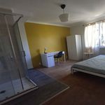 Rent 1 bedroom apartment in RENNES