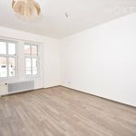 Rent 4 bedroom apartment of 105 m² in Mladá Boleslav
