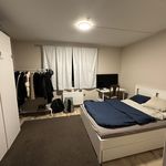 Rent a room of 13 m² in Oslo