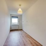 Rent 4 bedroom apartment in Plzeň