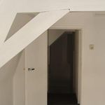 Rent 3 bedroom house of 90 m² in Haarlem