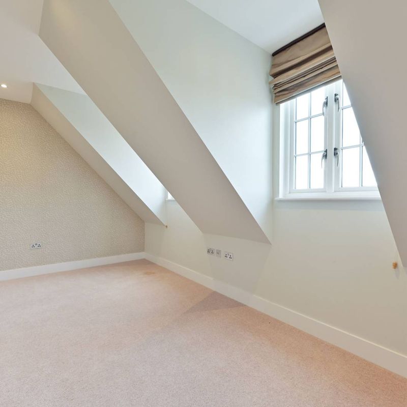 house for rent in London Roehampton