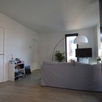 Appartement de 62 m² avec 1 chambre(s) en location à Turnhout