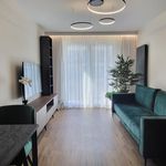 Rent 2 bedroom apartment of 37 m² in Piaseczno