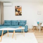 Rent 2 bedroom apartment of 42 m² in Konstantinovy Lázně