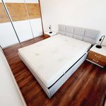 Rent 2 bedroom apartment of 354 m² in Kielce